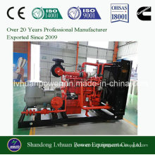 Ce Approved 20kw 30kw 40kw 50kw 100kw Biomass Gas Generator Set or Genset